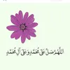 hanarabdulkarem1