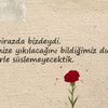 aslansibl