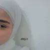.asg.x