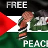 freepalestine0746