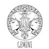 geminibaby3x_