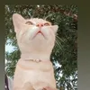 oummalasilavong