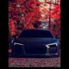 maxrayner481