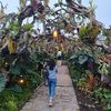 dian_f0705