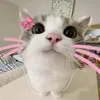 aishas92