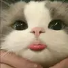 myvibesisyou