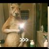userisaiasj