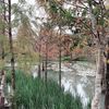 user414wbzci4j
