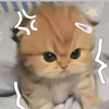 carrie_wutz