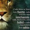 alejandrocad5
