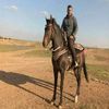 djilali.bachir