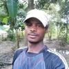 albinusmurmu