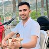 ORKESTRA & BARIŞ