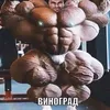 nikitadzhimilev
