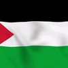 freepalestina1234560