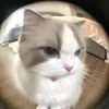 anh.iudzqua33