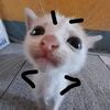 nezeku07