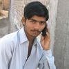 salman.ali4726