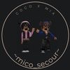 mico_secour