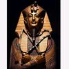 ahmed.zakaria581