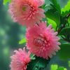 malar6384