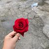 wenzoh_07
