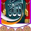 user9206814381385