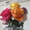 mohammad.babakr