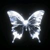 paradise_bird_3a