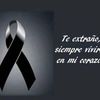 chemaflores29