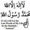 hidayasalum0