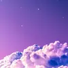 purpleroses_4