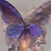 noor168_9