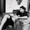 vip__s__a__s__a