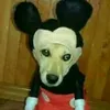 gummibeer69