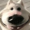 smile_l5