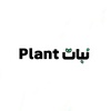 Plant | نبات