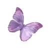 sophiacrs