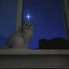 lilyloly573