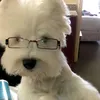 fdedw2