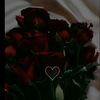 ftoom_028
