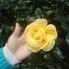 doraarias195