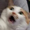 userrxs4jgidd4