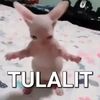 rr_maulida