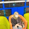 pangsitgoreng28