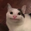 wehdngah