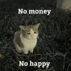 _nab.206