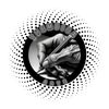 Real Thembisa Art