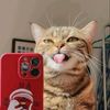 rawr.843