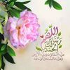 userfll8am9lln